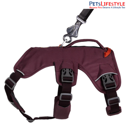 Ruffwear Web Master Dog Harness Purple Rain | Supportive Multi-Use Harness for Assistance, Hiking & Working Dogs