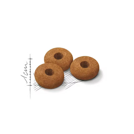 ROYAL CANIN Appetite Control Sterilised Adult Dry Cat Food