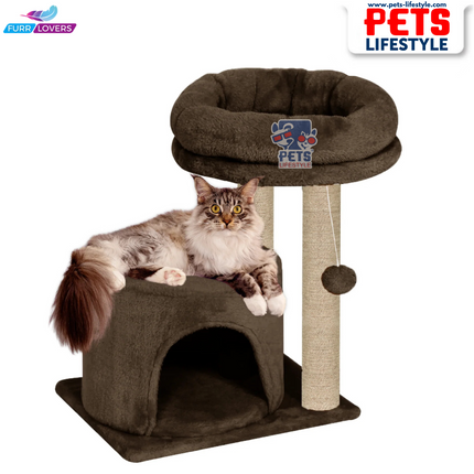 Canine Desk Cozy Cat Tree with Scratching Posts, Platforms and Dangling Toy