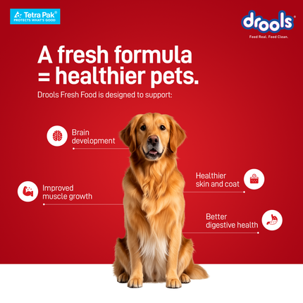 Drools Tetra Pack Real Chicken Turkey Wet Dog Food