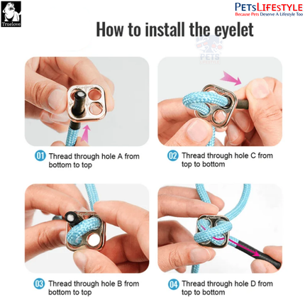 Truelove All-In-One Environmentally Friendly (Geranium Pine) Harness Set for Active Pets