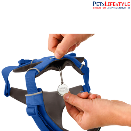 Ruffwear Front Range® Dog Harness | Padded Everyday Adventure Harness for Dogs