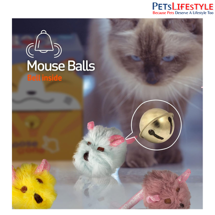 FOFOS Ball Box Rattle Cat Toy (Assorted) – Sparkle Rattle Ball with Bell for Kittens & Cats