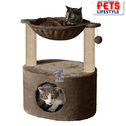Canine Desk Dual Level Cat Bed and Scratching Post with Hammock