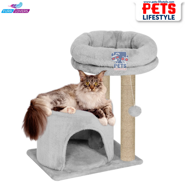 Canine Desk Cozy Cat Tree with Scratching Posts, Platforms and Dangling Toy