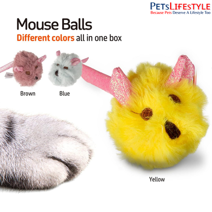 FOFOS Ball Box Rattle Cat Toy (Assorted) – Sparkle Rattle Ball with Bell for Kittens & Cats