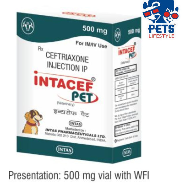 INTACEF PET