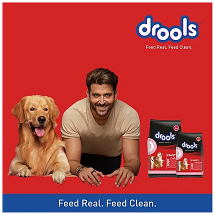 Drools Puppy Starter Dry Dog Food