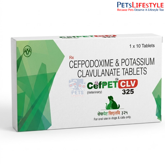 Cefpet CLV 325 Tablet for Dogs — Cefpodoxime + Clavulanate Antibiotic