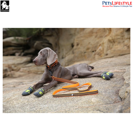 Truelove Mesh Padded Dog Leash (Orange) Reflective Classic Series