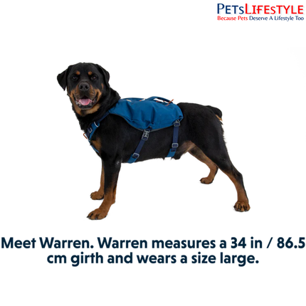 Ruffwear Switchbak™ Dog Harness – Blue Moon | Padded Adventure Harness with Storage Pockets