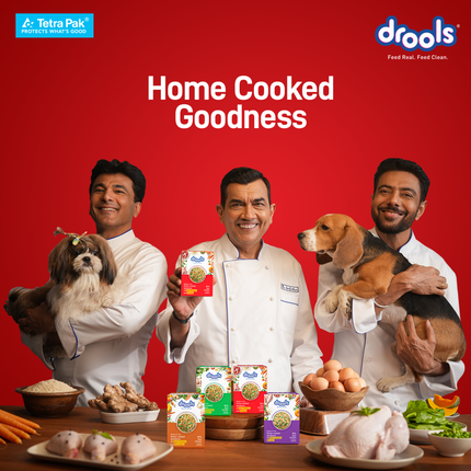 Drools Tetra Pack Real Chicken Turkey Wet Dog Food