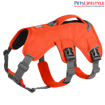 Ruffwear Web Master Dog Harness Blaze Orange| Supportive Multi-Use Harness for Assistance, Hiking & Working Dogs
