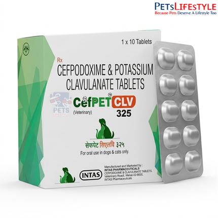 Cefpet CLV 325 Tablet for Dogs — Cefpodoxime + Clavulanate Antibiotic
