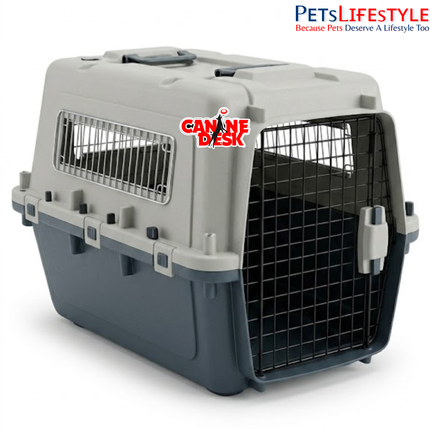 Canine Desk Flight Carrier (31" × 20" × 23") | IATA Style Airline Travel Crate for Medium to Large Dogs | Heavy-Duty Pet Travel Carrier
