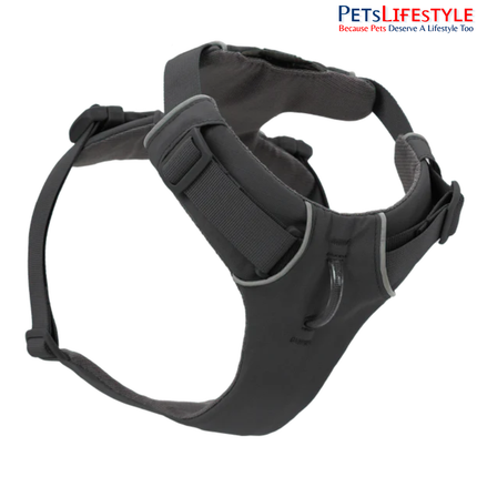 Ruffwear Front Range® Dog Harness | Padded Everyday Adventure Harness for Dogs