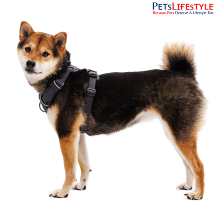 Ruffwear Front Range® Dog Harness | Padded Everyday Adventure Harness for Dogs