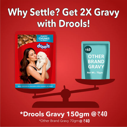 Drools Puppy Wet Dog Food, Real Chicken and Chicken Liver Chunks in Gravy,10 Pouches + 2 Pouches Free (12 x 60g )