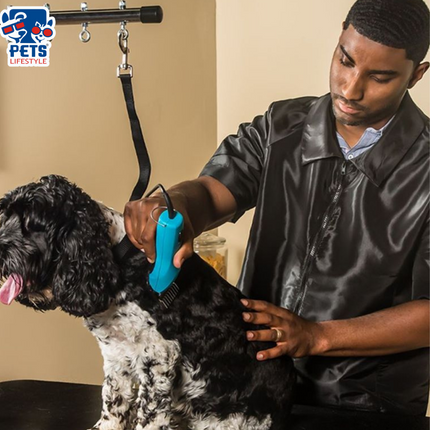 Wahl KM10 Clipper Animal For Dogs And Cats