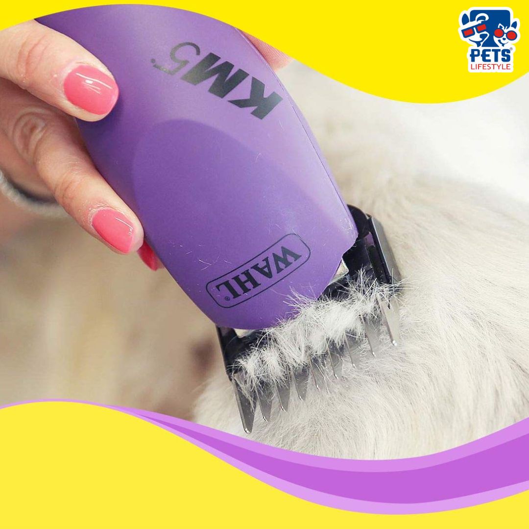 Wahl KM5 Clipper For Dog And Cat Grooming Kit - Main Image