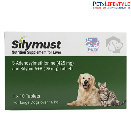 Silymust Liver Support Tablets for Large Dogs (16–55+ kg)
