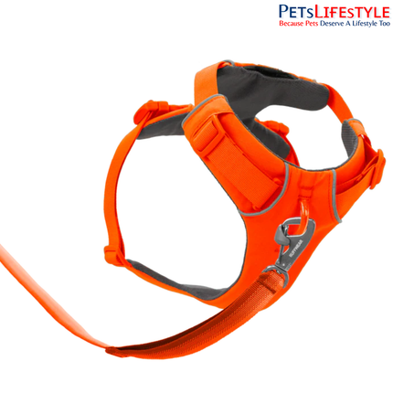 Ruffwear Front Range® Dog Harness | Padded Everyday Adventure Harness for Dogs