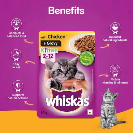 Whiskas Kitten Chicken in Gravy – 85 gm