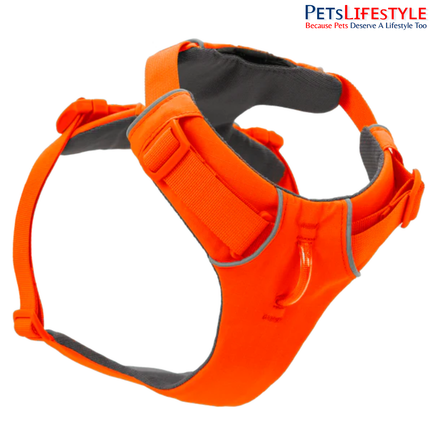 Ruffwear Front Range® Dog Harness | Padded Everyday Adventure Harness for Dogs