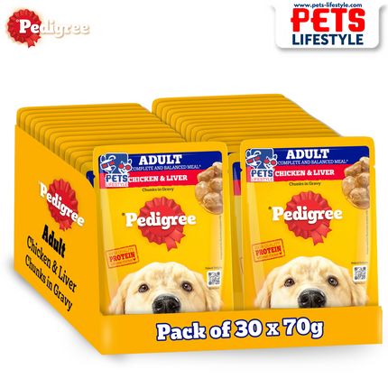 Pedigree Chicken & Liver Chunks in Gravy Adult Wet Dog Food - 70 g packs