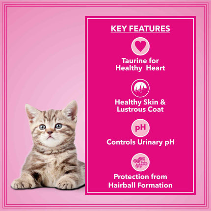 Let's Bite Active Kitten Ocean Fish Cat Dry Food