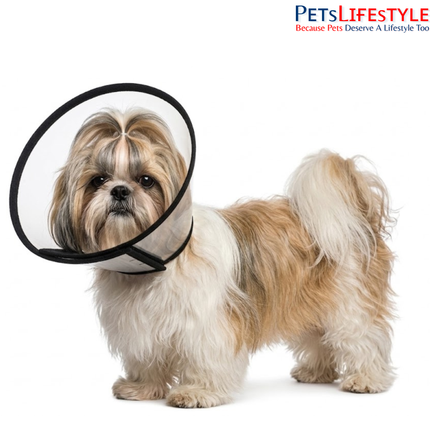 Elizabethan Collar for Dogs, Cats & Rabbits – Protective Recovery Cone (E-Collar)