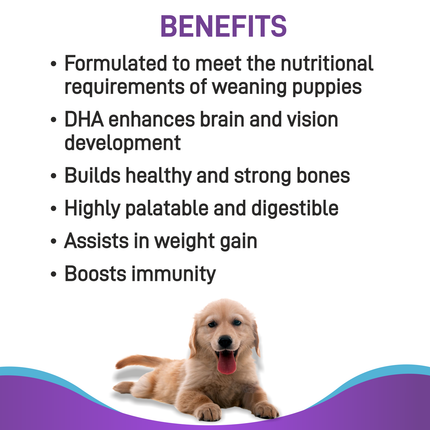 Canine Creek Pup Booster Puppy Weaning Diet (300g)