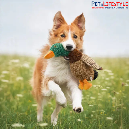 FOFOS Tough Dog Toy Wild Duck – Plush Interactive Dog Toy for Playtime & Enrichment