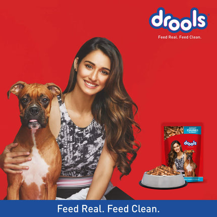 Drools Adult Wet Dog Food, Real Chicken and Chicken Liver Chunks in Gravy, 24 Pouches (24 x 150g)