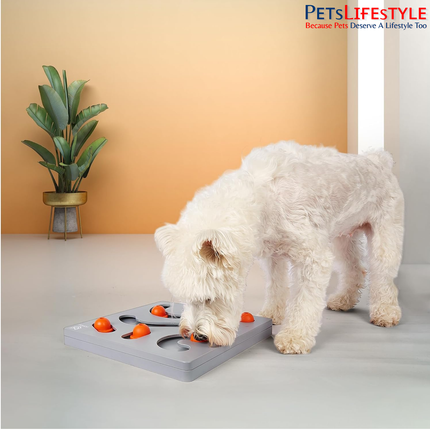 FOFOS Brain Game Treat Puzzle Dog Toy