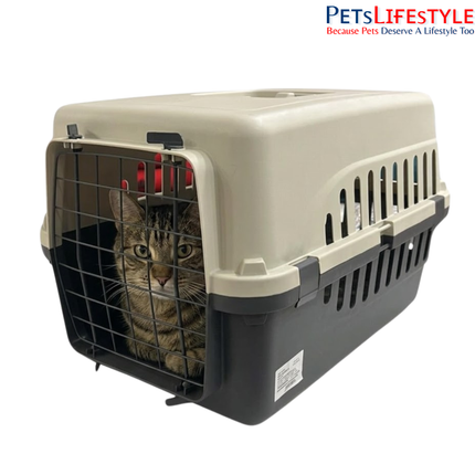 Canine Desk Flight Carrier (19.96 × 12.99 × 13.07 inches) – IATA Approved Airline Travel Crate for Dogs (Small)