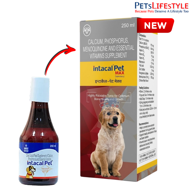 Intacal Pet Syrup | Calcium, Phosphorus & Vitamin D3 Bone Health Supplement for Dogs, Cats, Birds & Exotic Pets