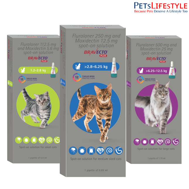MSD Animal Health Bravecto (Fluralaner) Spot On Solution for Cats & Kittens (1 tube)
