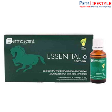 Essential 6 Spot-on for Horses – Advanced Skin & Coat Care Solution