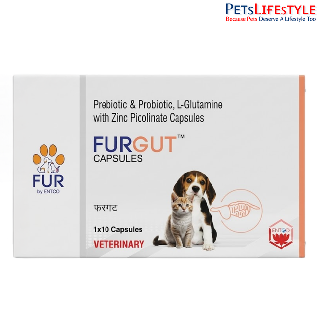 FURGUT™ Capsules for Dogs & Cats – Advanced Probiotic Gut Health Supplement with 3 Billion CFU | Capsules