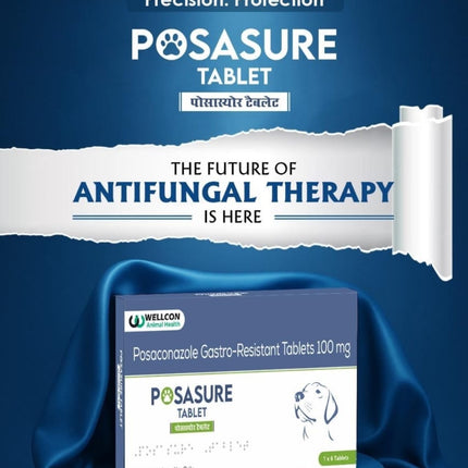 Posasure Gastro-Resistant Tablets (Posaconazole) for Dogs & Cats  100mg