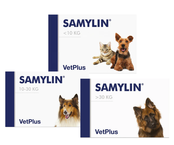 Vetplus Samylin Liver Support Nutraceutical | Vet Medicine India
