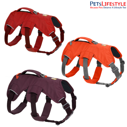 Ruffwear Web Master Dog Harness | Supportive Multi-Use Harness for Assistance, Hiking & Working Dogs