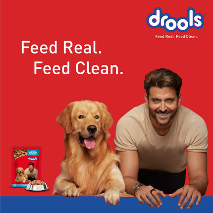 Drools Adult Wet Dog Food, Real Chicken and Chicken Liver Chunks in Gravy, 24 Pouches (24 x 150g)