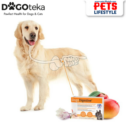 Dogoteka DOGO Digestive® – Advanced Digestive Supplement for Dogs & Cats