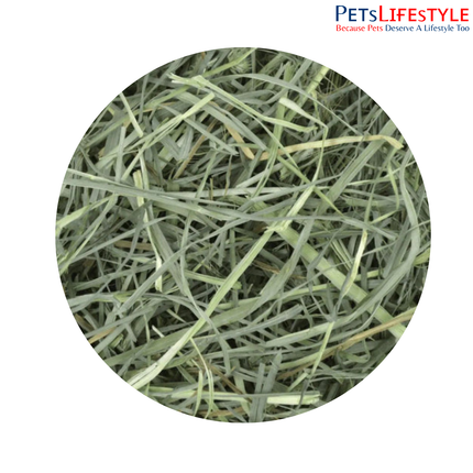 OXBOW Orchard Grass Hay 425g – Soft Aromatic High-Fiber Hay for Small Pets