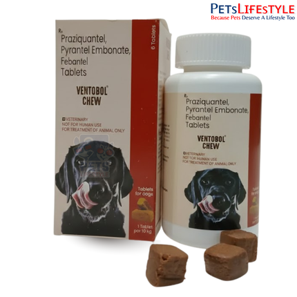 Medilogy Ventobol chew 1pack of 6 chew