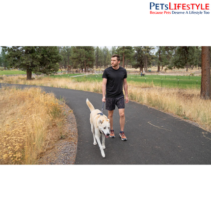 Ruffwear Front Range Short Leash – Spring Fade | Compact Traffic Leash for Dogs