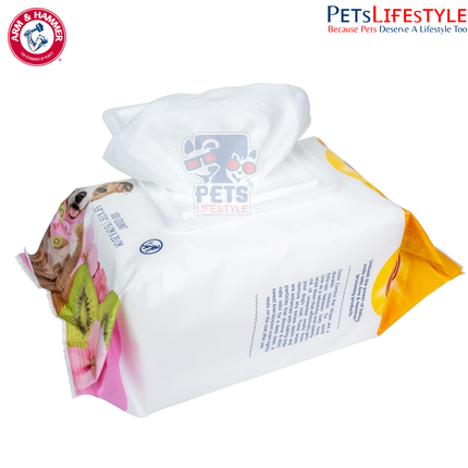 Arm & Hammer for Pets Odor Control Wipes for Dogs – Kiwi Blossom Scent (100 Count)