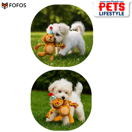 Barkbutler x FOFOS Fluffy Puppy Toy – Lion